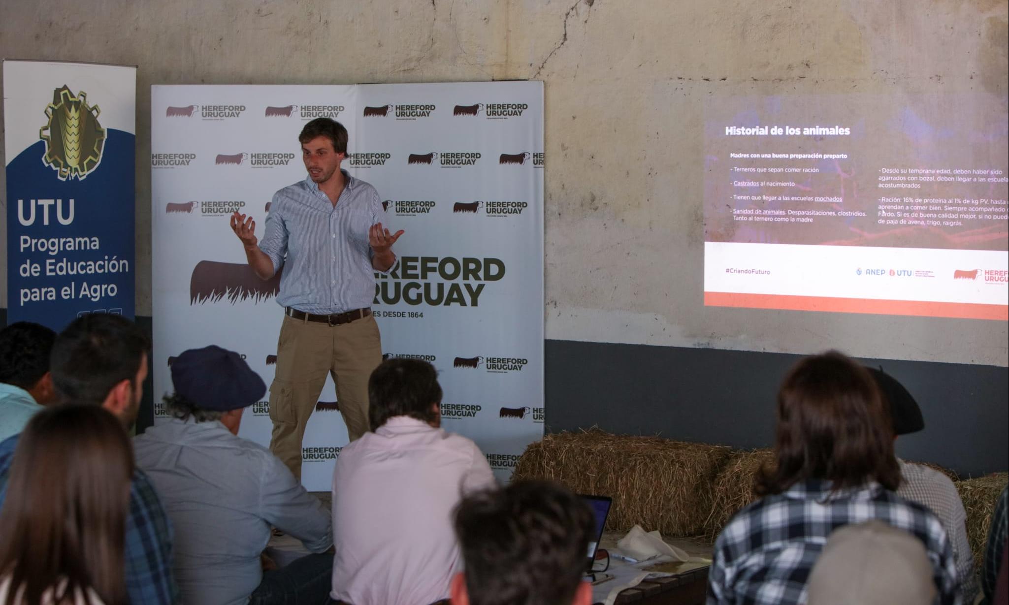 explicando
