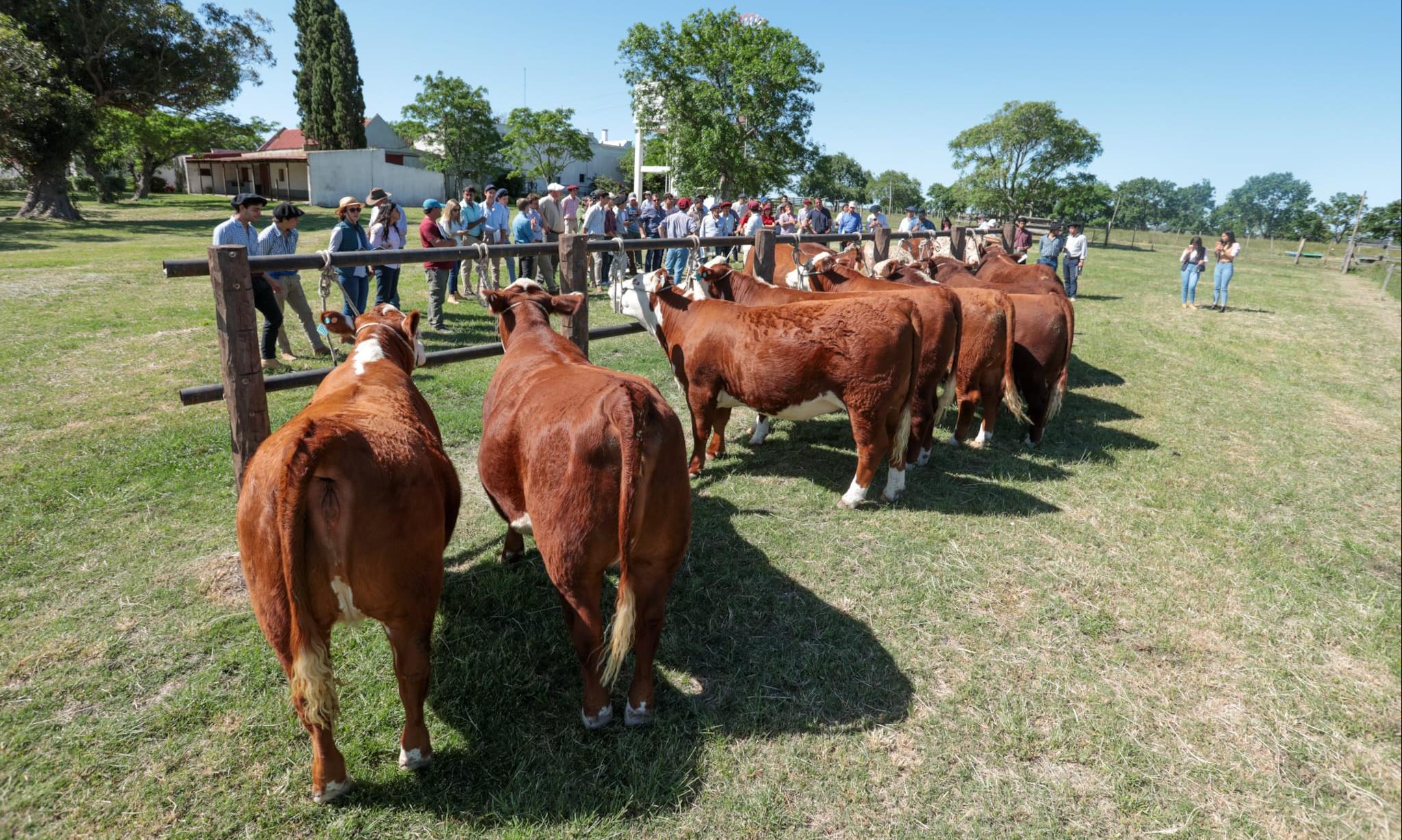 animales y alumnos