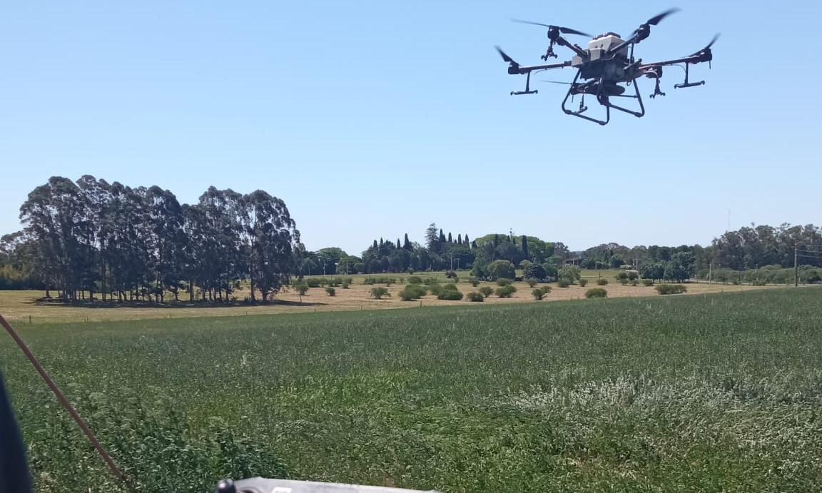 Dron