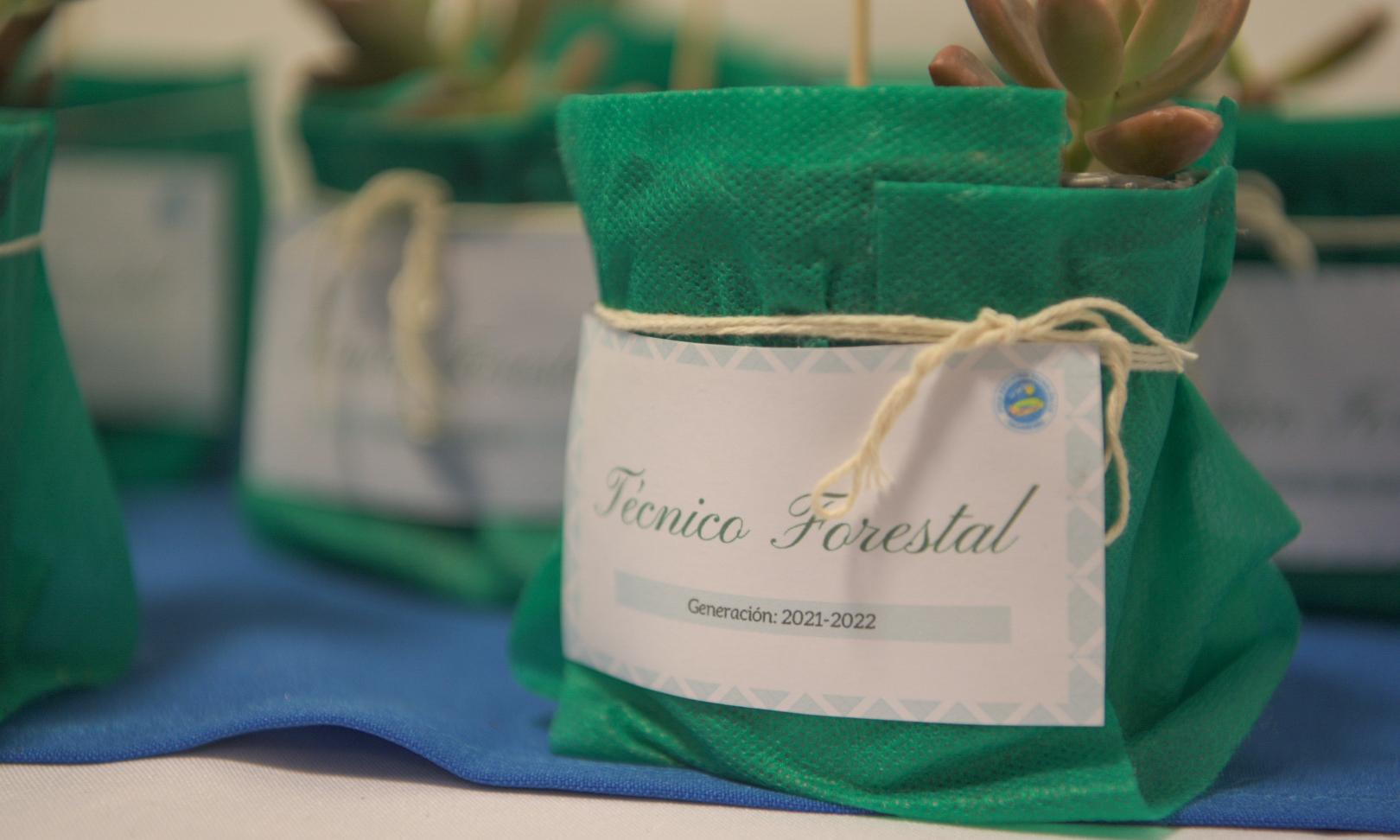 Aserradero móvil Escuela Agraria y del Polo Educativo Tecnológico Tacuarembó