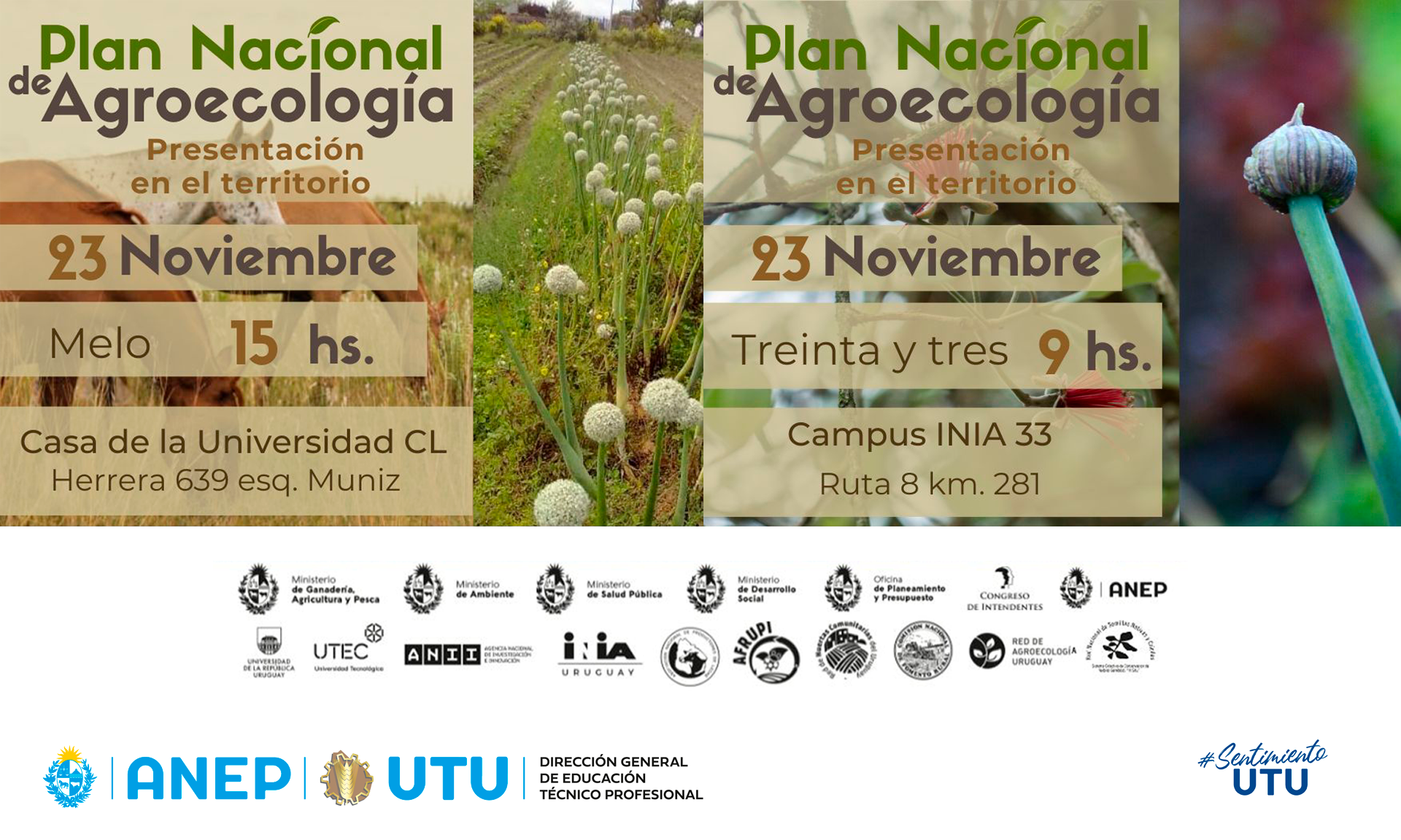 Invitación 