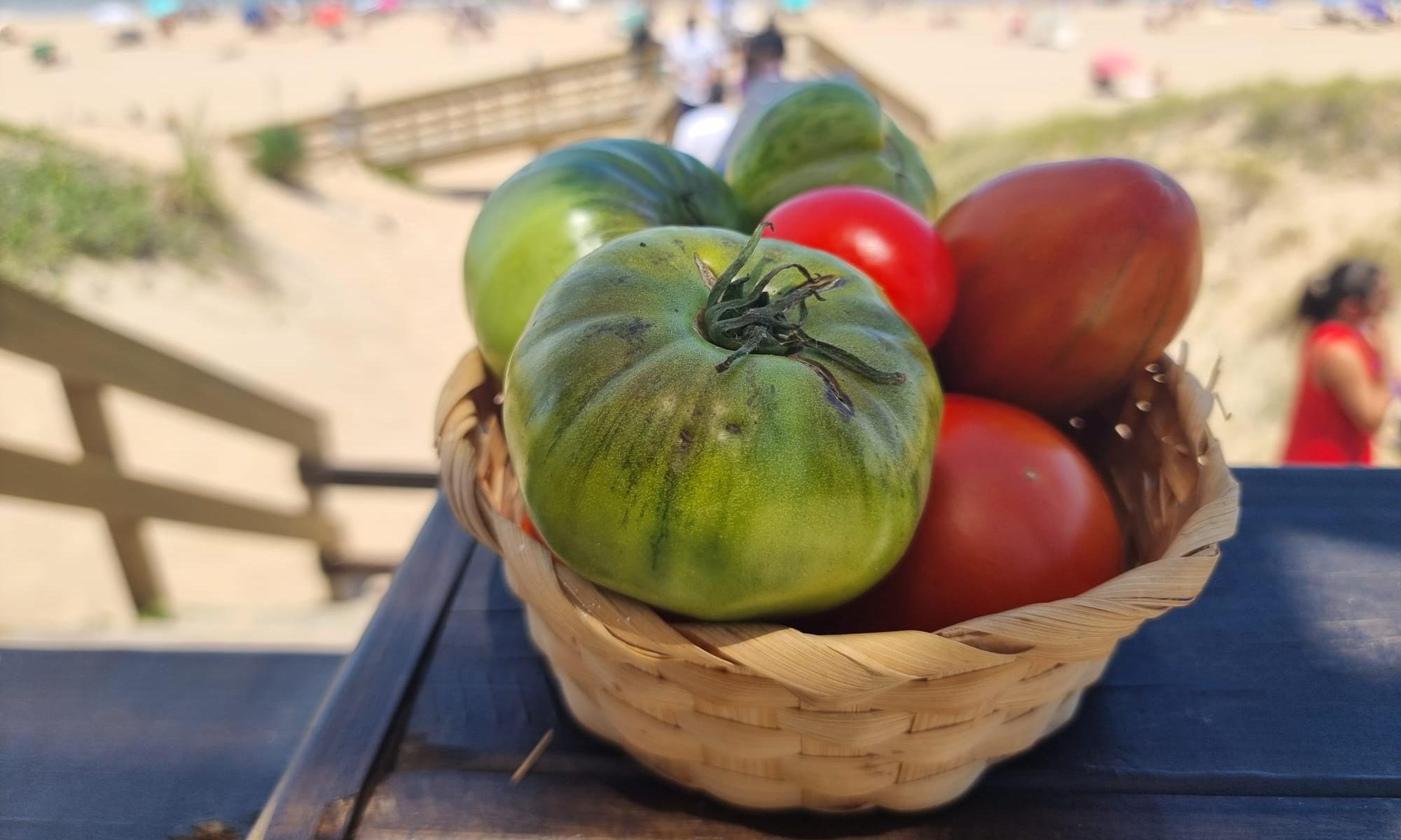 Cata de tomates en el parador Figari de Punta del Este