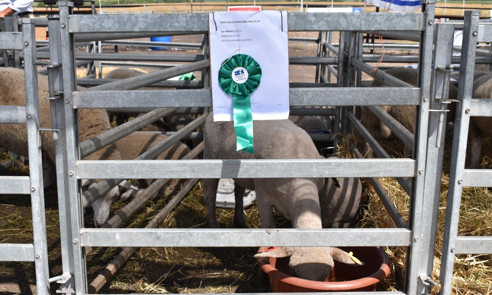 Agraria de Guaviyú fue premiada en la Expoactiva de Soriano