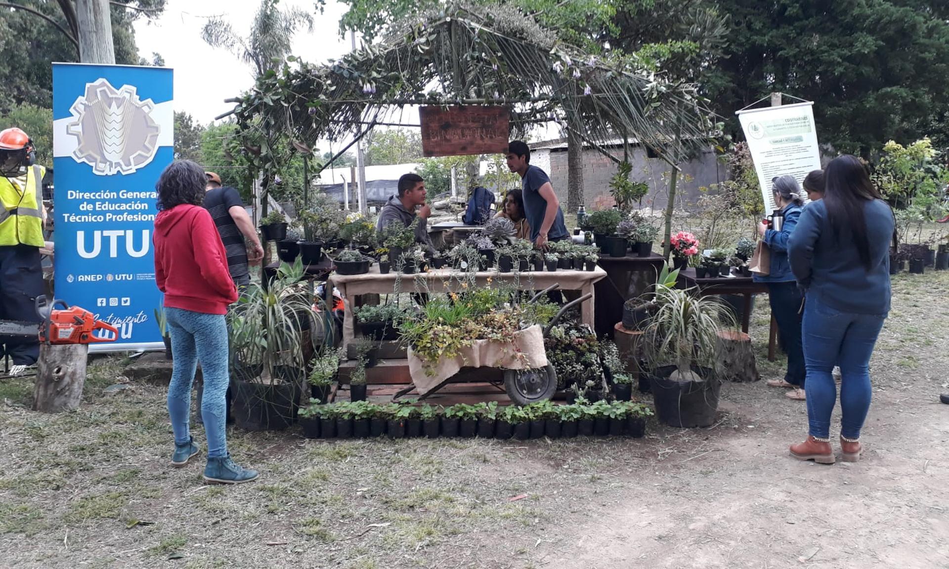 Vivero en Polo Rivera