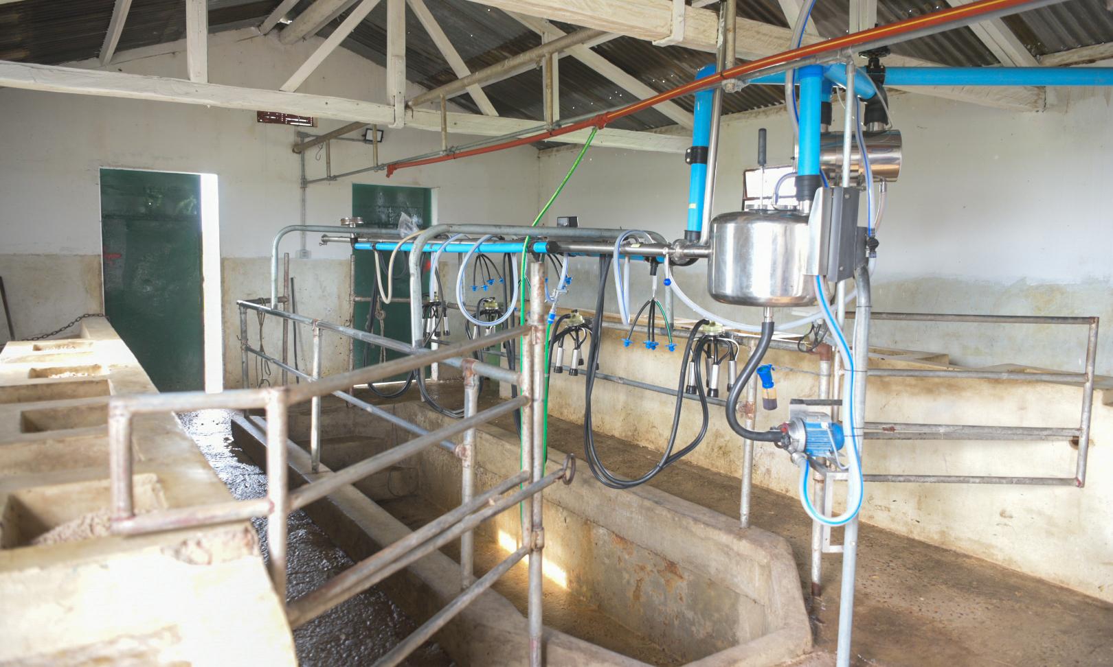 Tambo Escuela Agraria Lorenzo Geyres
