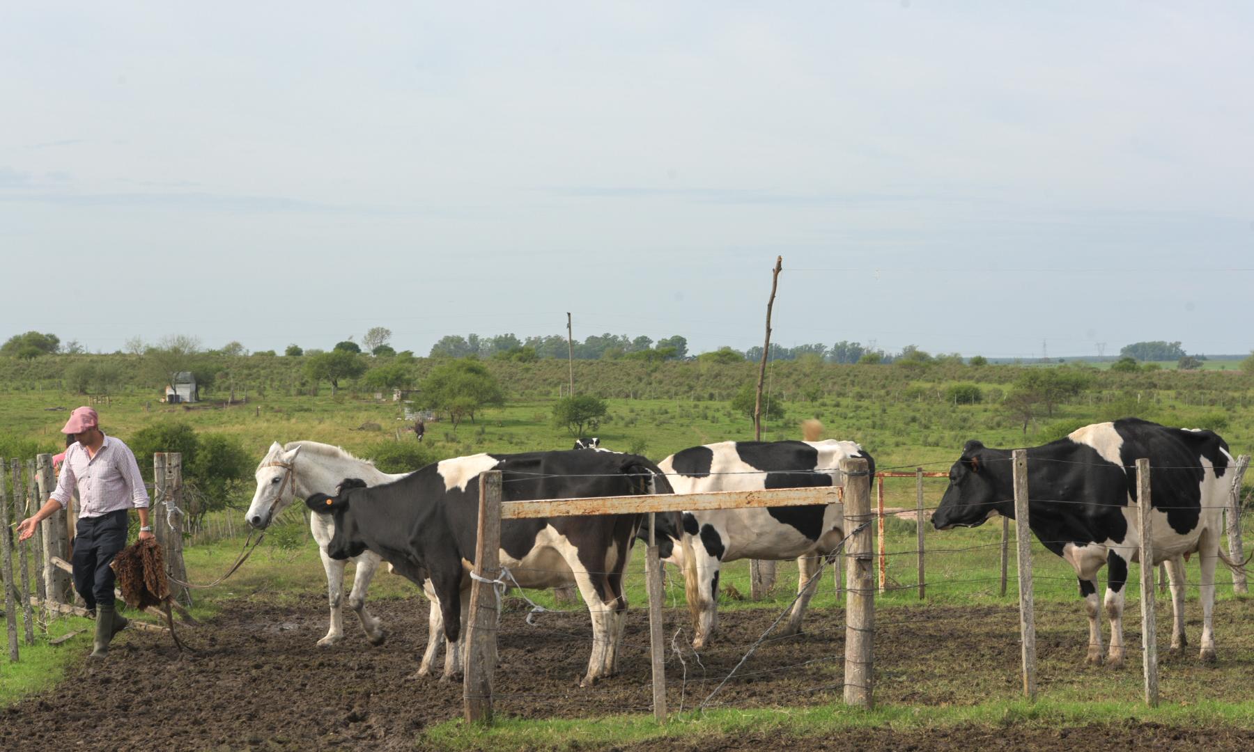 Tambo Escuela Agraria Lorenzo Geyres