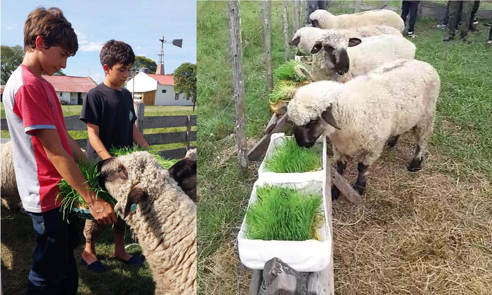 Estudiantes de Agraria Guaviyú