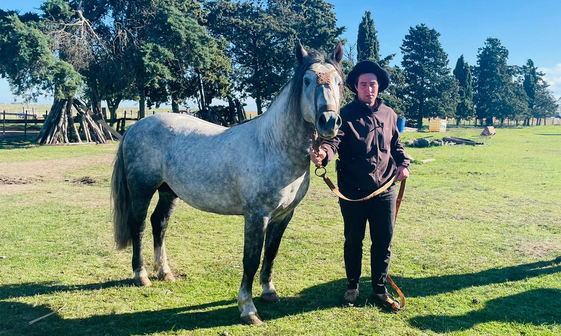 caballo
