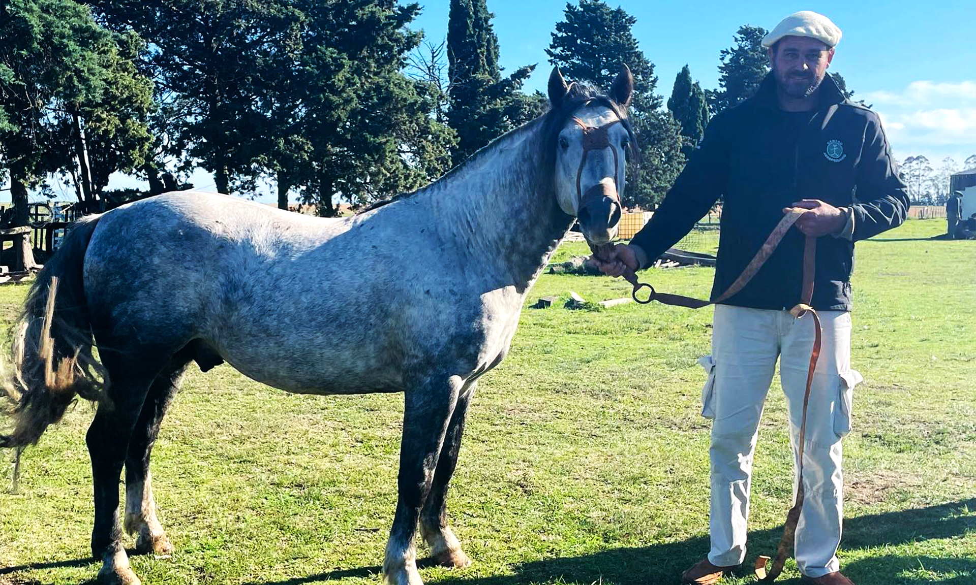 caballo