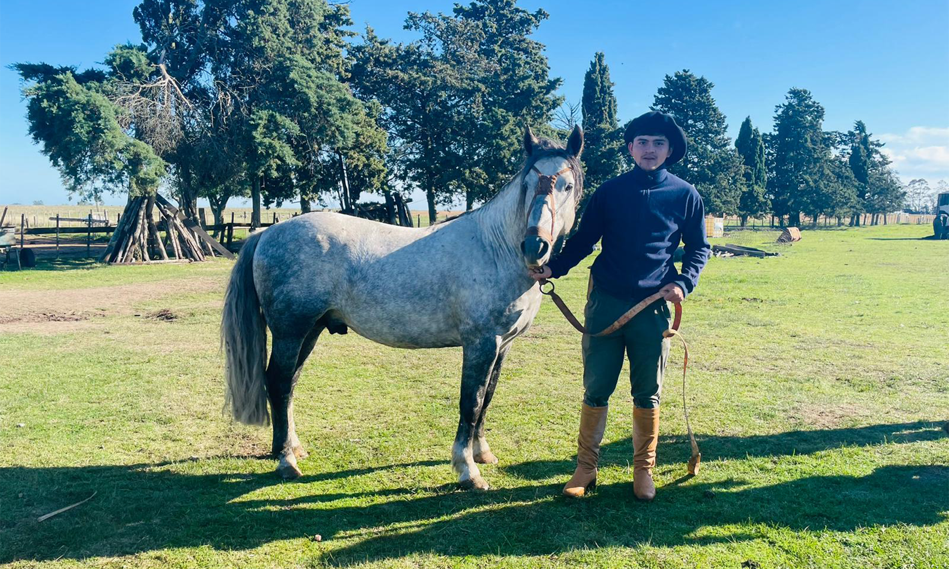 caballo