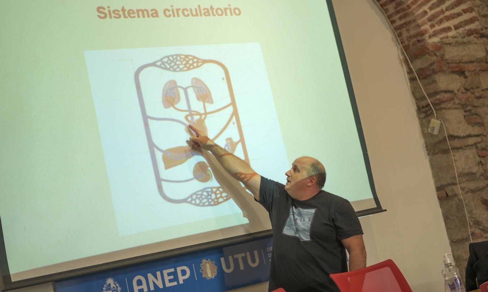 Taller