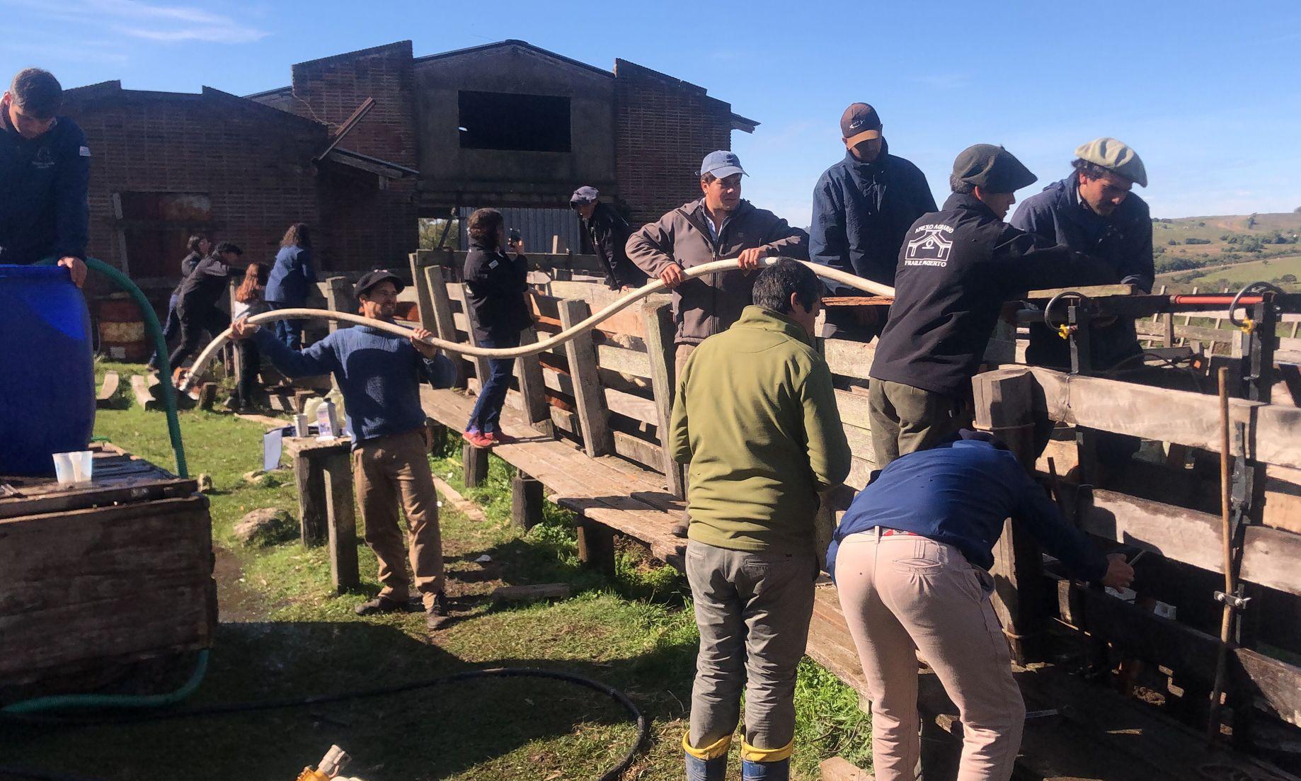 Estudiantes agrarios