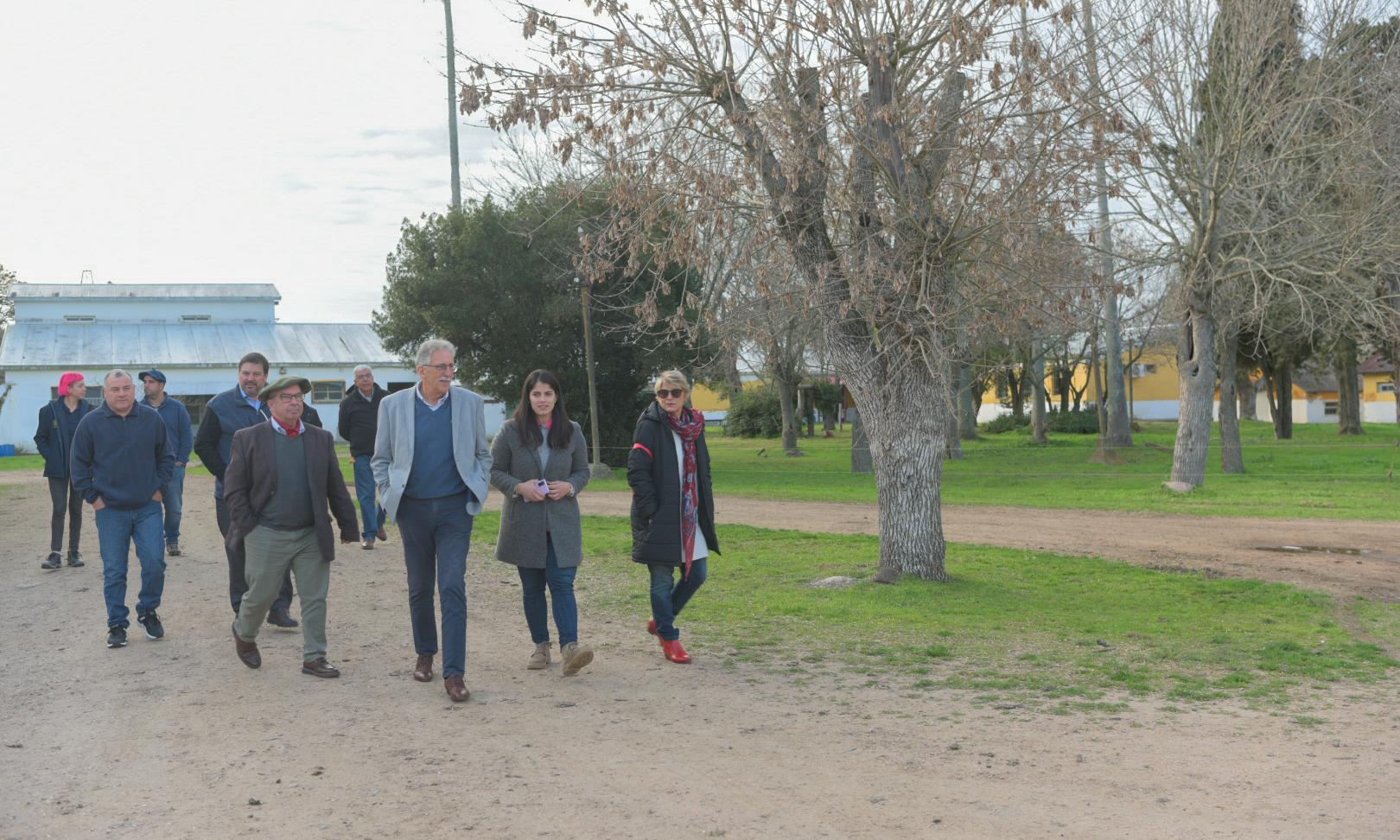 Recorrida director