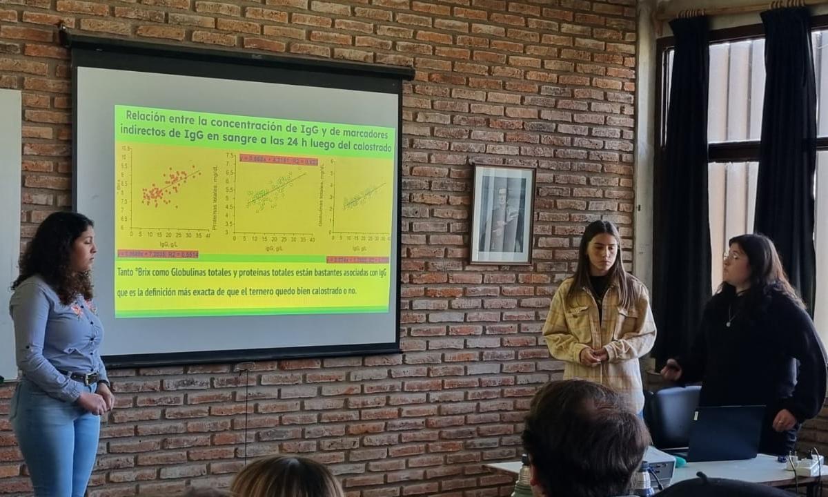 Trece estudiantes de La Carolina 