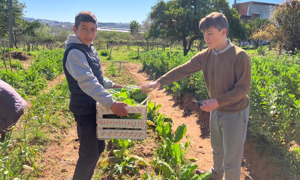 Taller Agrario Polo Educativo Tecnológico Agrario de Rivera