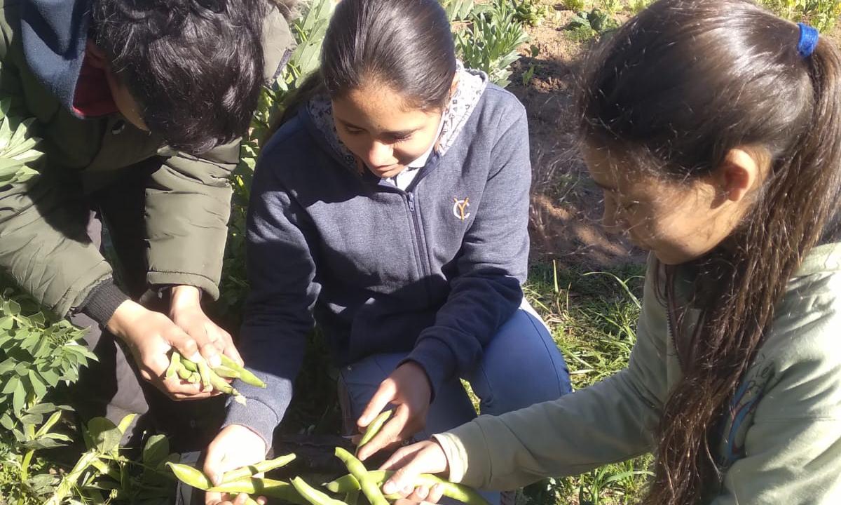 Taller Agrario Polo Educativo Tecnológico Agrario de Rivera