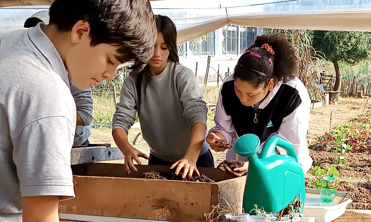 Taller Agrario Polo Educativo Tecnológico Agrario de Rivera