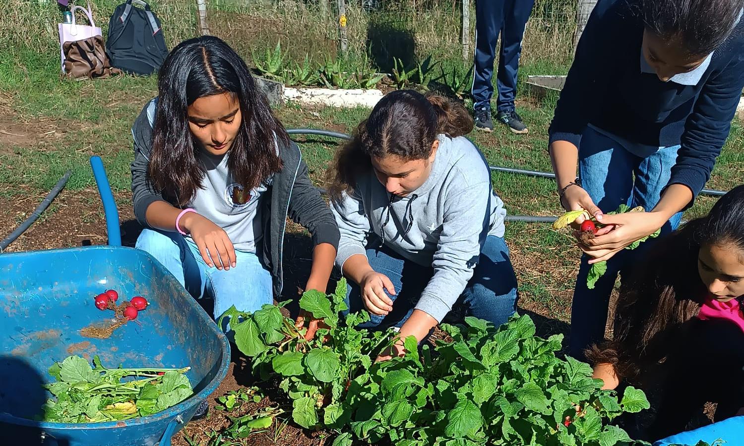 Taller Agrario Polo Educativo Tecnológico Agrario de Rivera