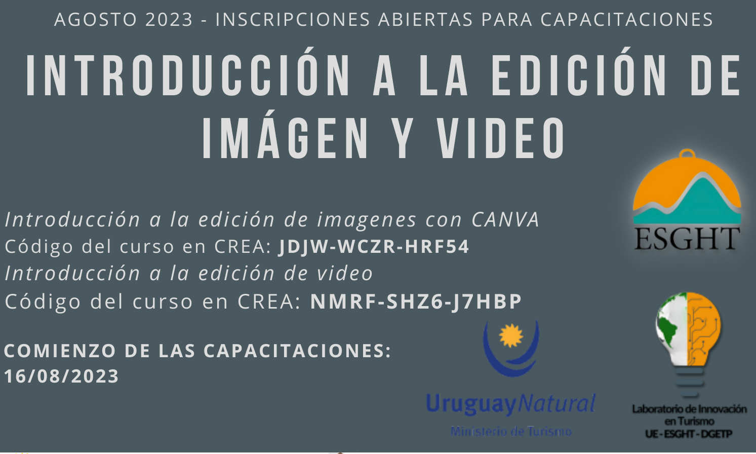 BO curso edición