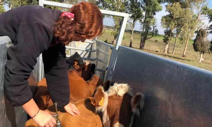 Mujer rural