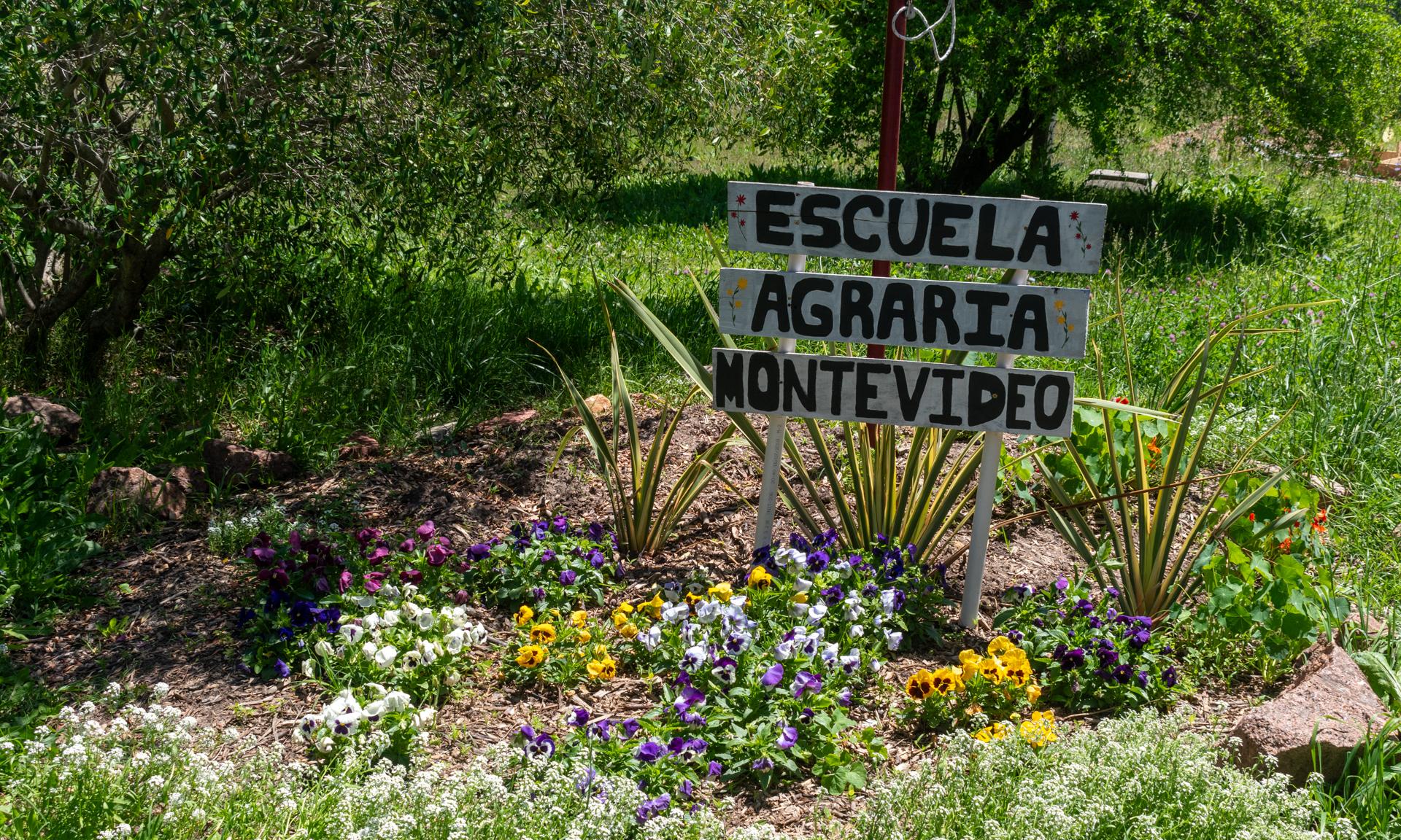 Recorrida MVD oeste