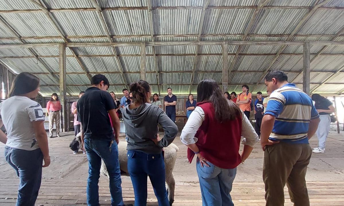 Encuentro entre escuelas de Paysandú