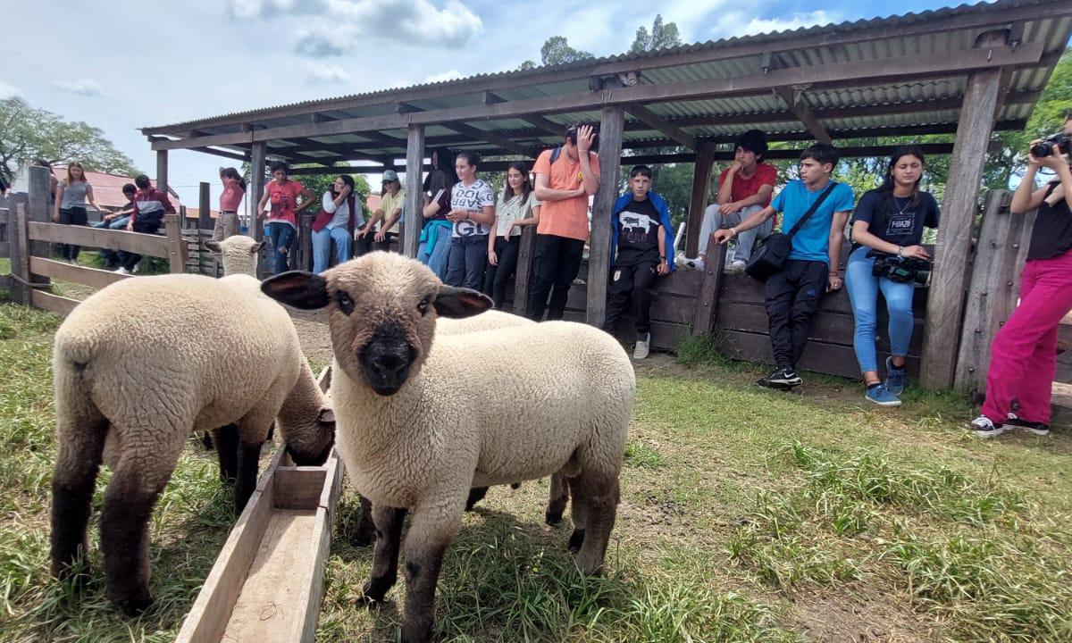 Encuentro entre escuelas de Paysandú