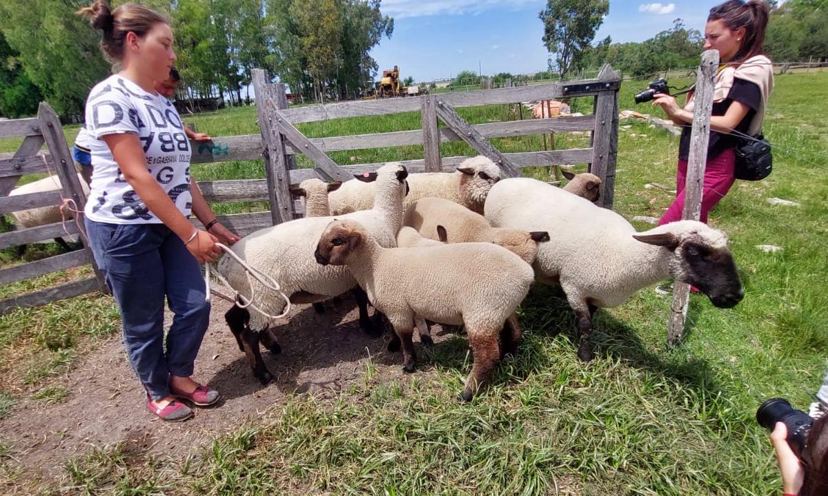 Encuentro entre escuelas de Paysandú