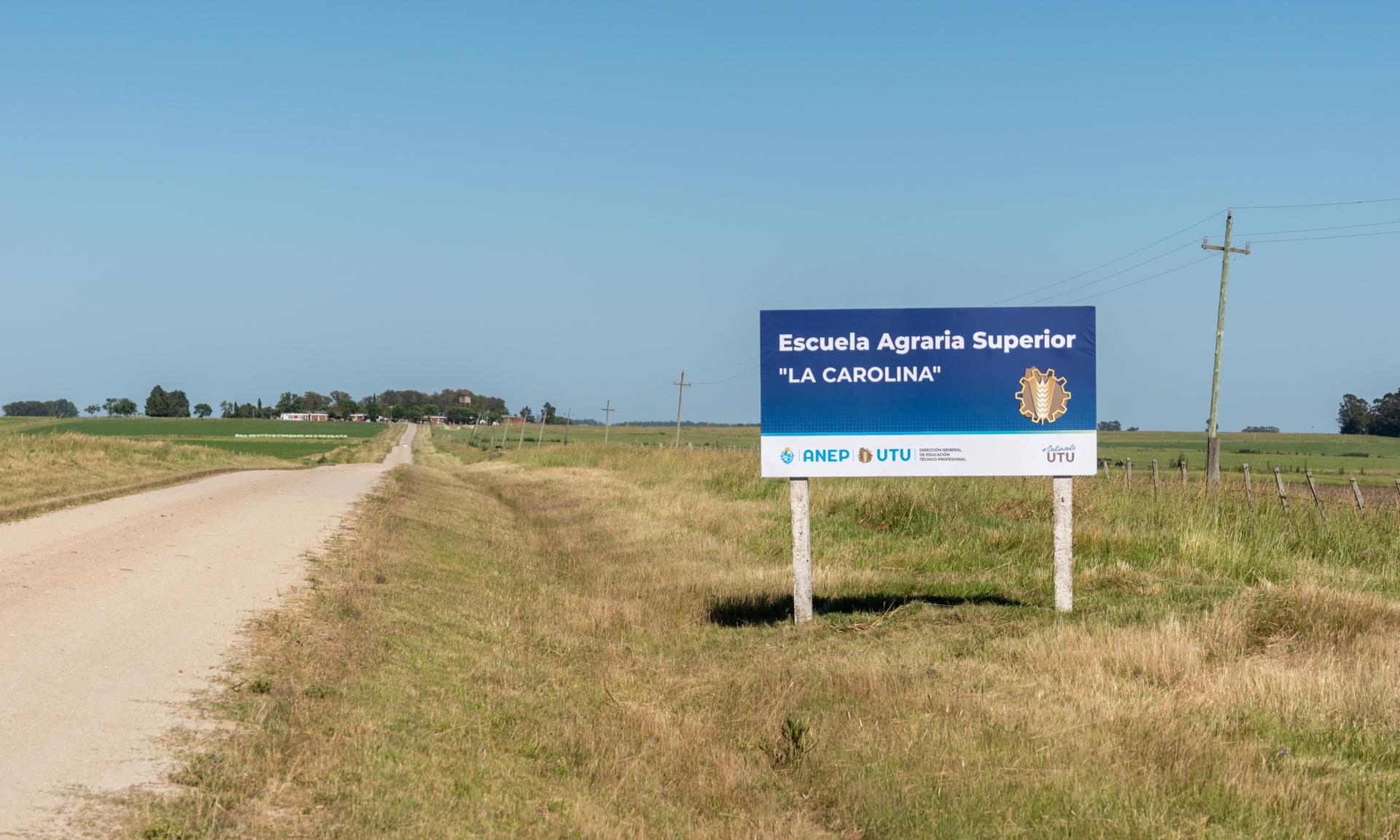 60 años Carolina