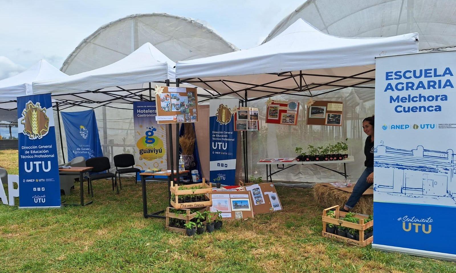 La Fiesta del Tomate Antiguo y la Cerveza Artesanal