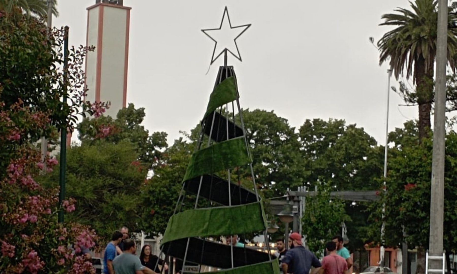 arbol