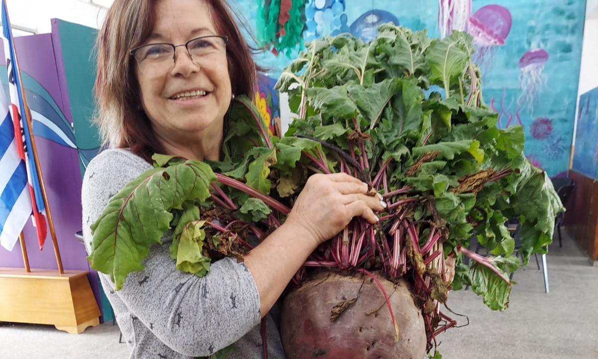 Remolacha gigante