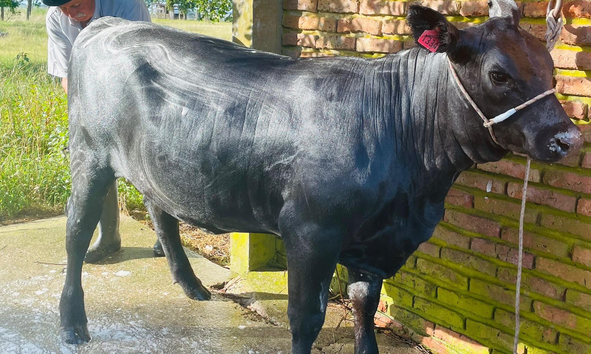 Durazno Agraria