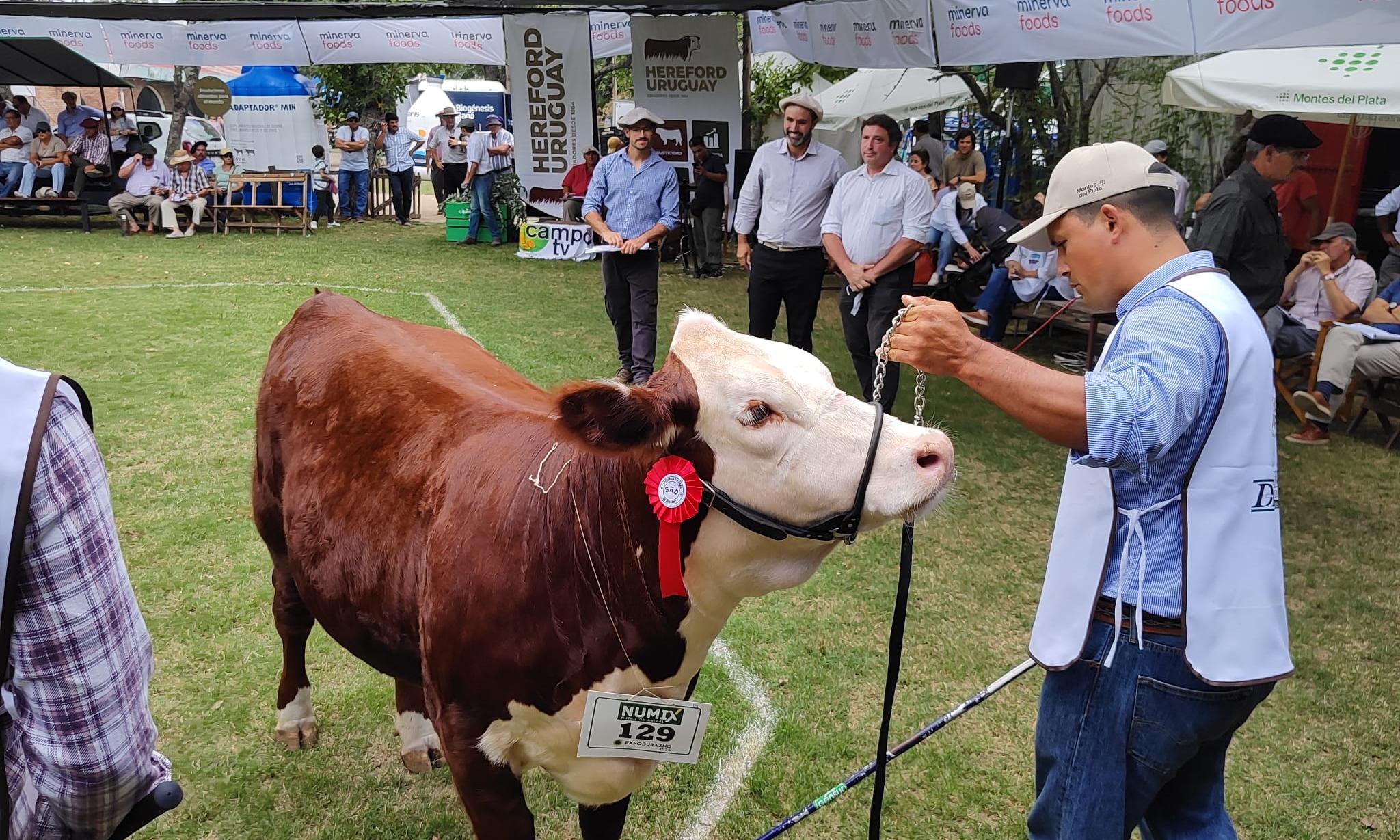 Durazno Agraria