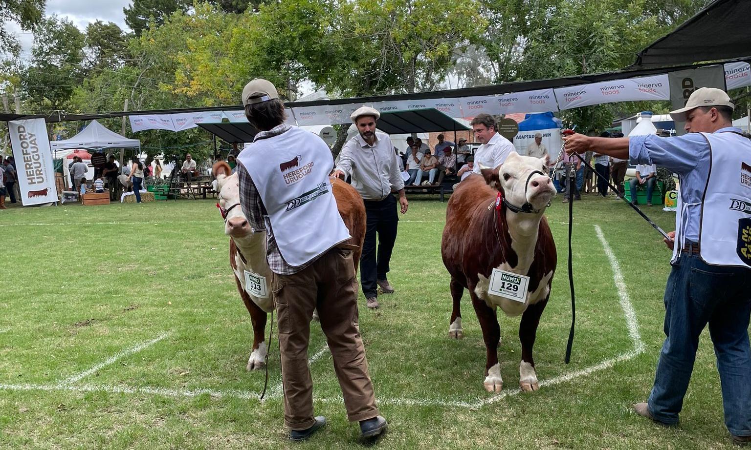 Durazno Agraria