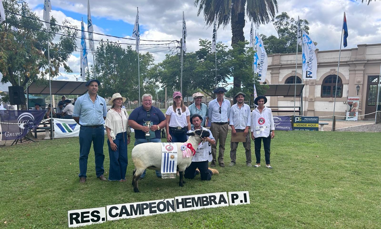 Expo San José