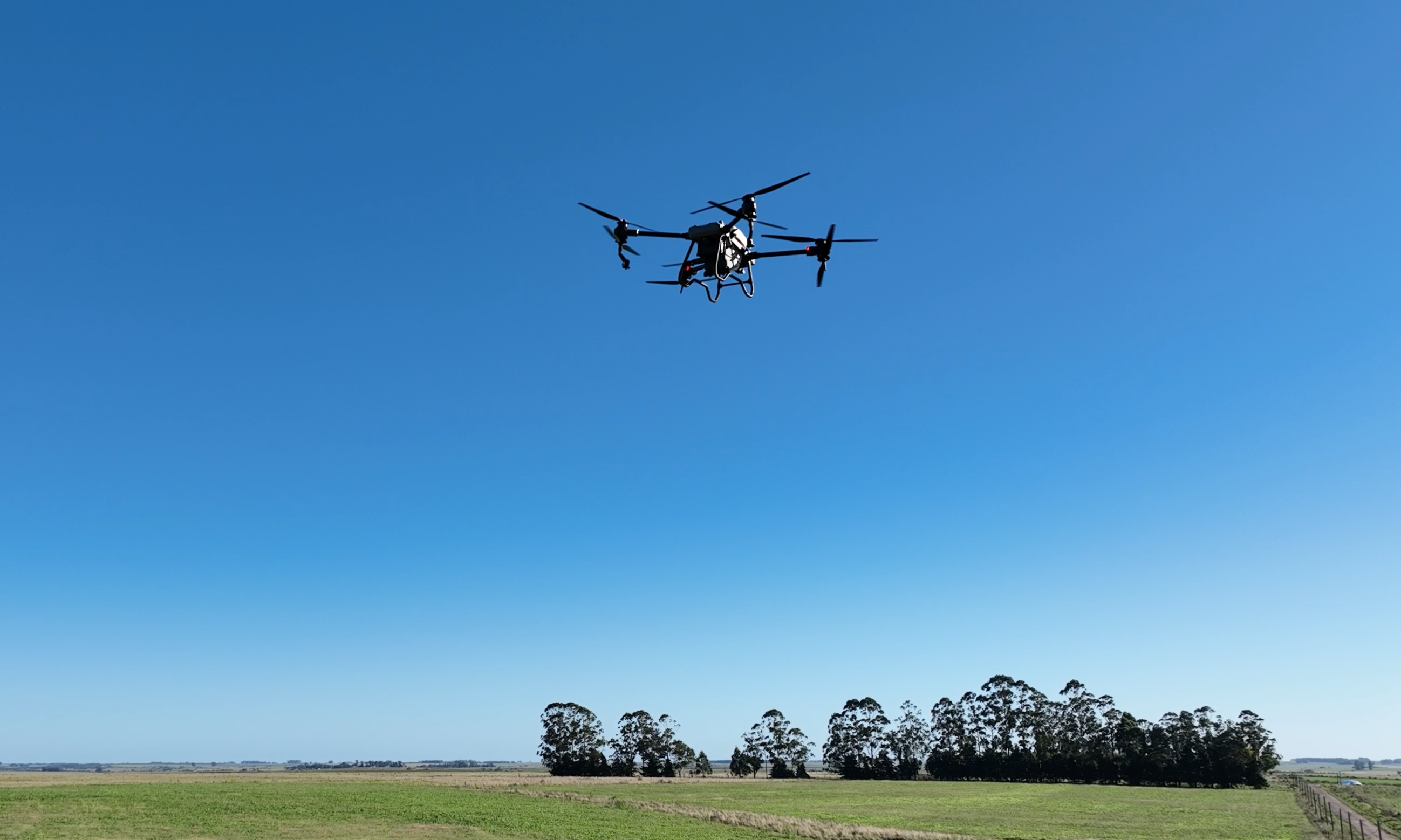 dron