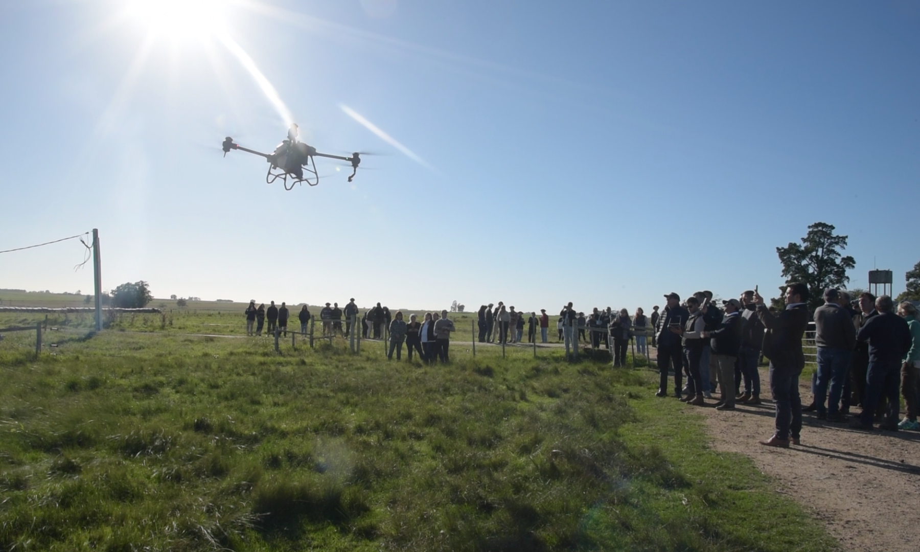 dron