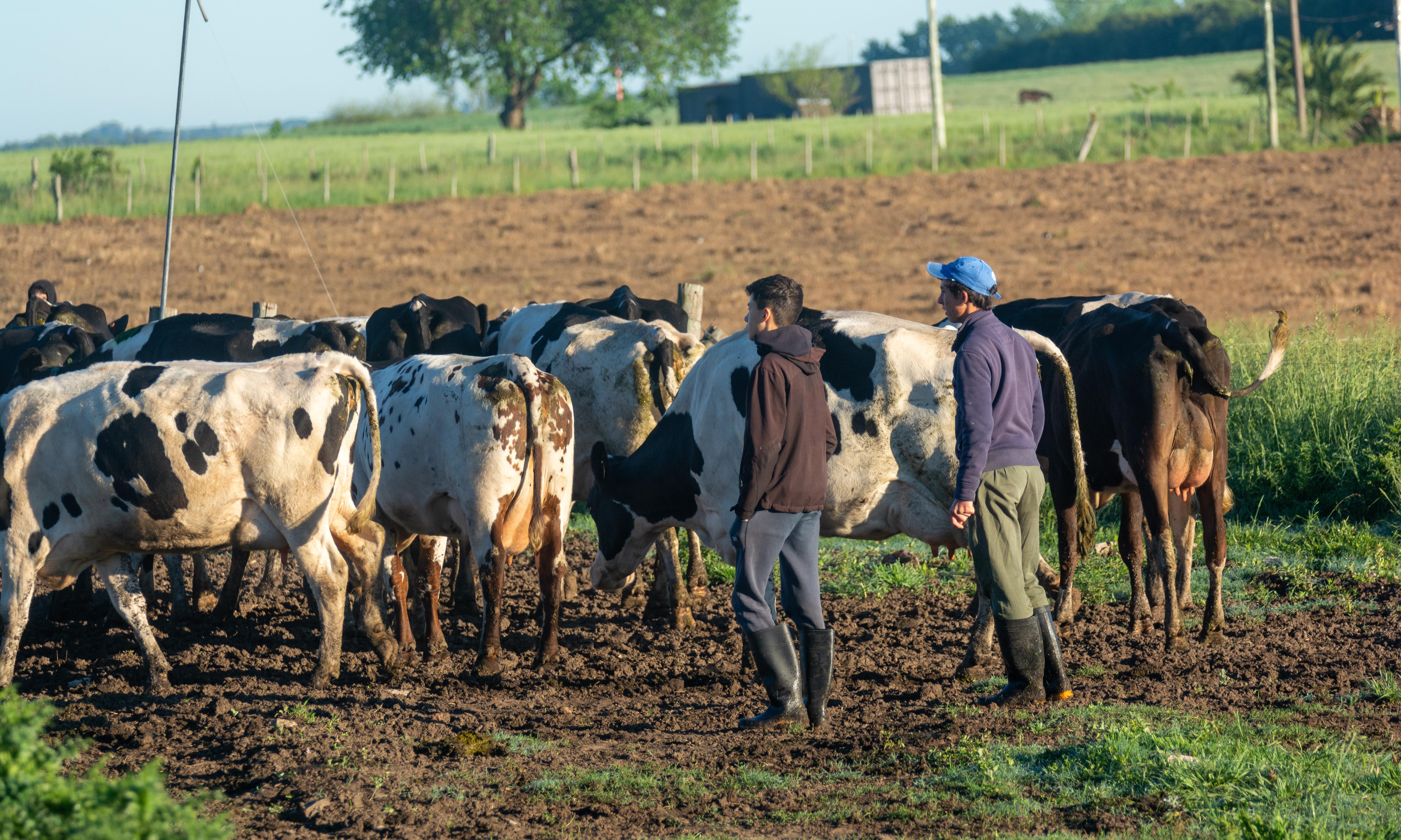 26 escuelas agrarias aplicarán nuevos proyectos educativos de convivencia