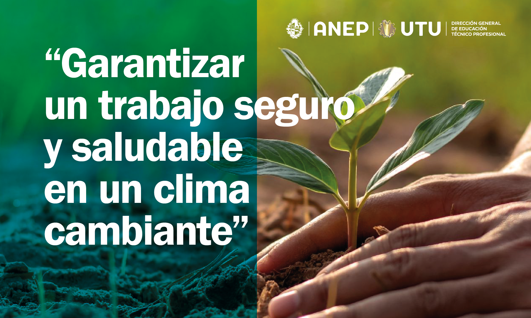 AFICHE