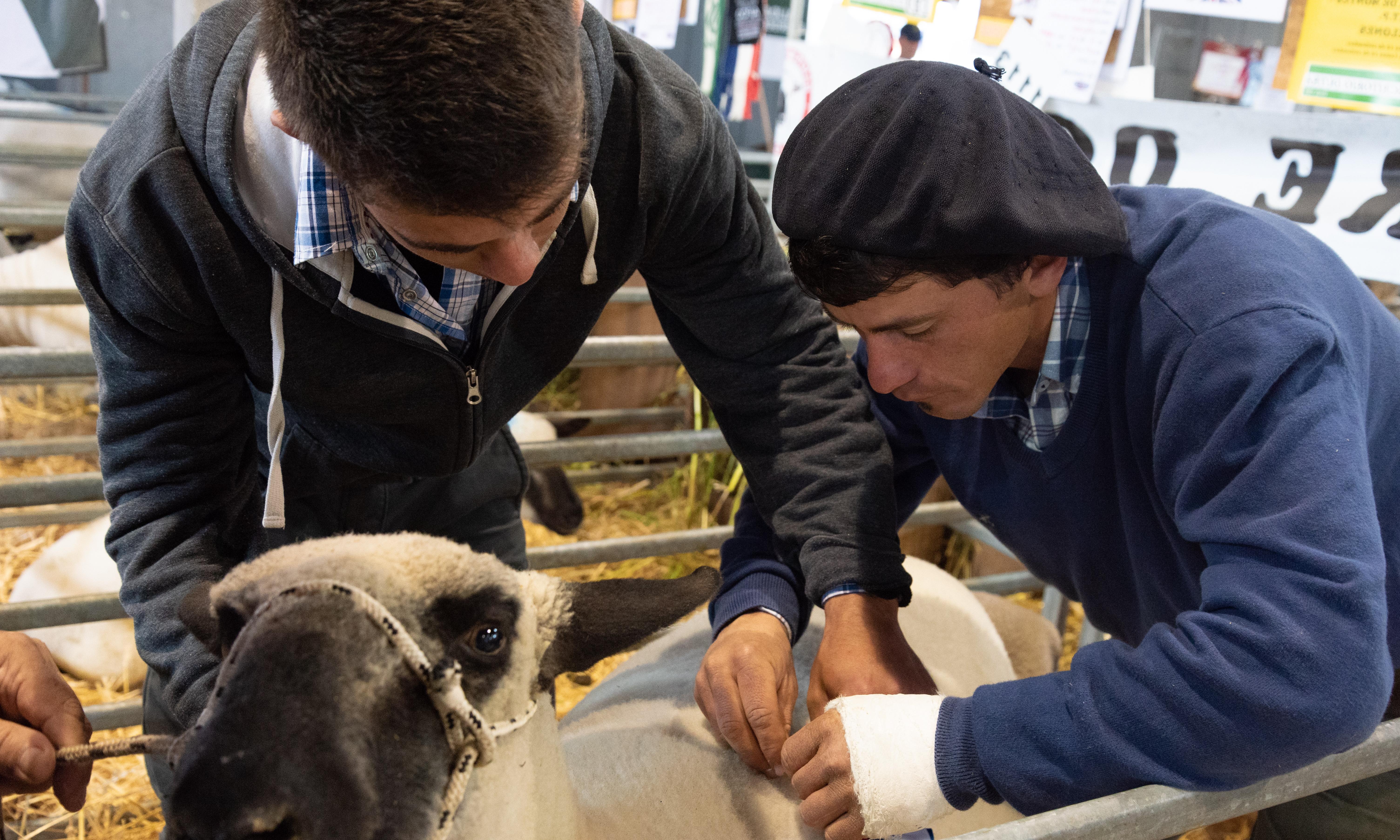 26 escuelas agrarias aplicarán nuevos proyectos educativos de convivencia 