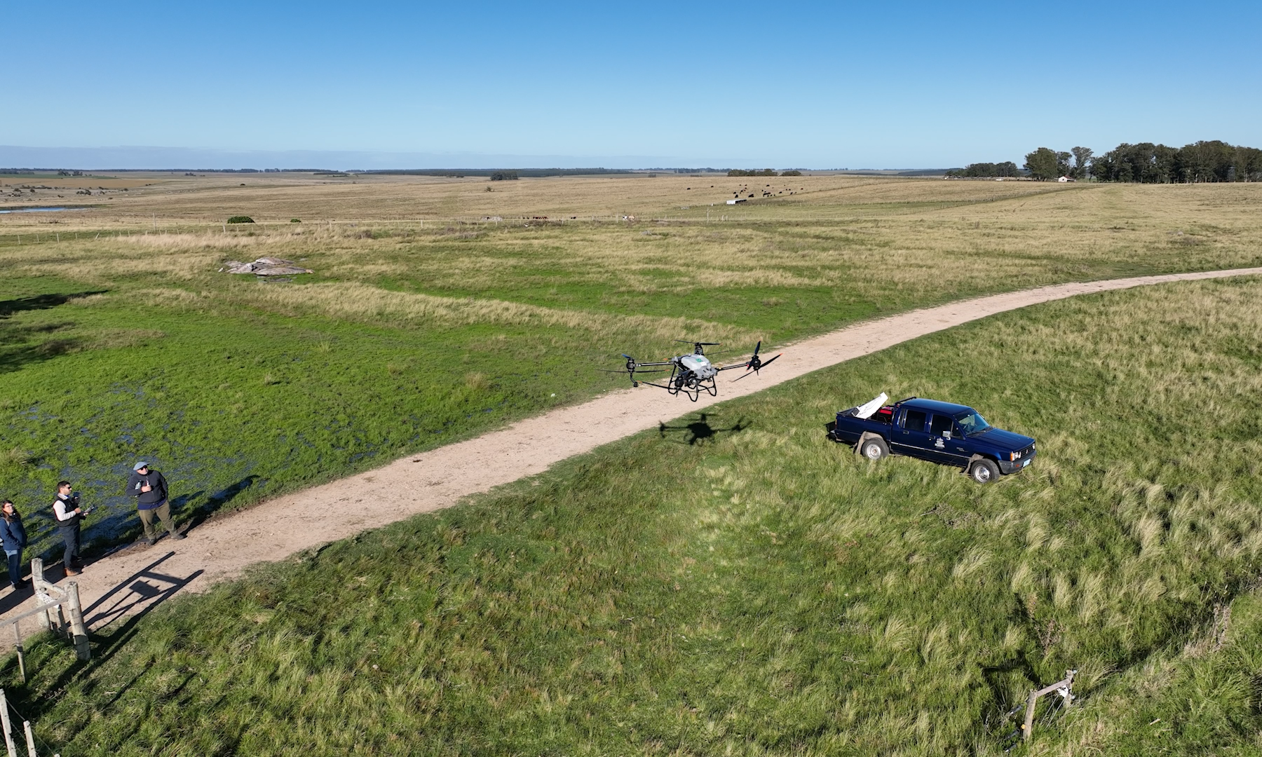 dron