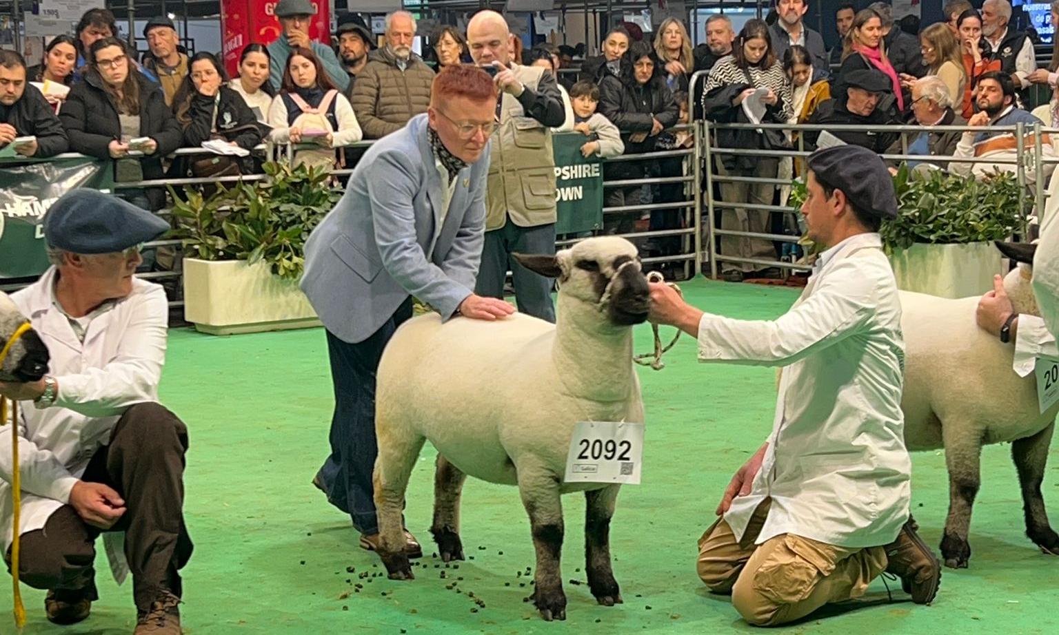 Histórica participación en la Expo Palermo, Argentina, de Agraria Serena, la oveja Hampshire Down de UTU 