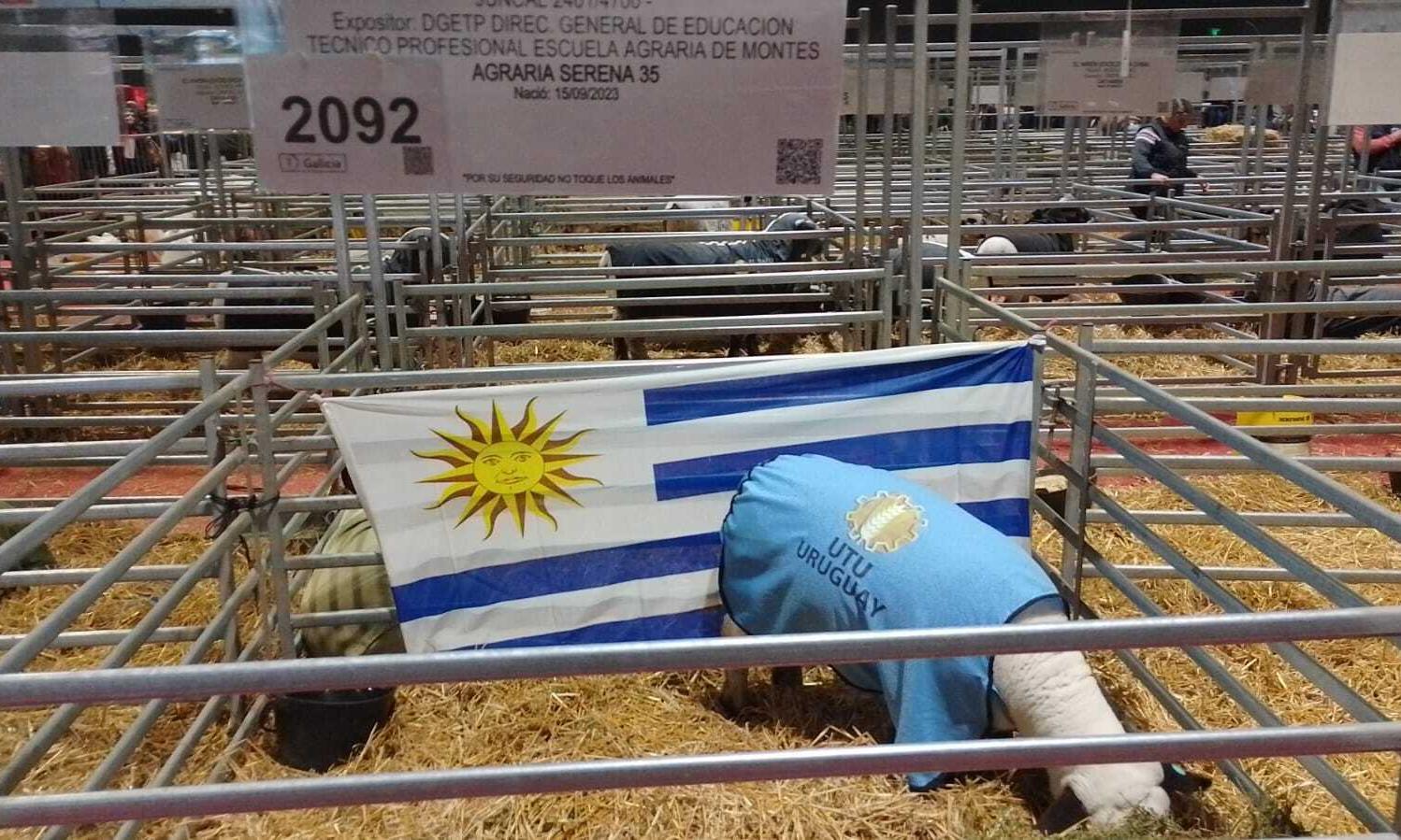 Todo pronto para la presentación de "Agraria Serena" en la Expo Palermo 2024