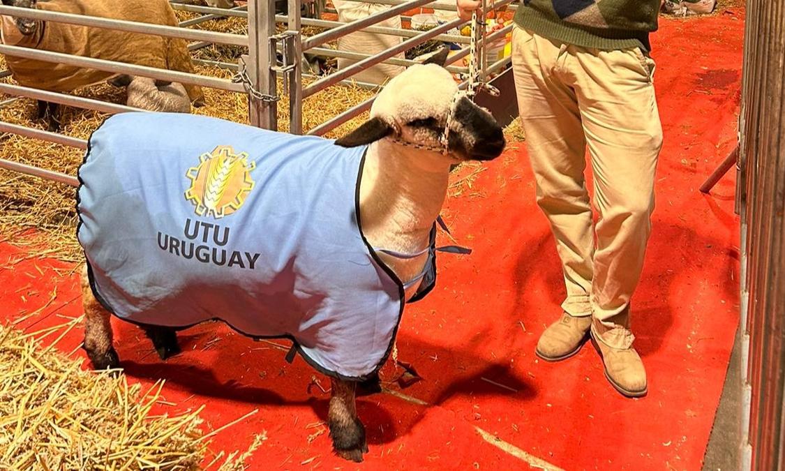Todo pronto para la presentación de "Agraria Serena" en la Expo Palermo 2024