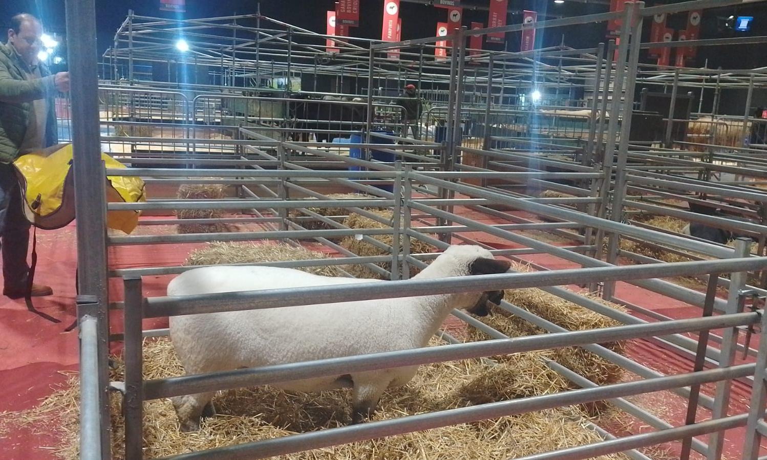 UTU está presente en la mayor exposición rural de Argentina