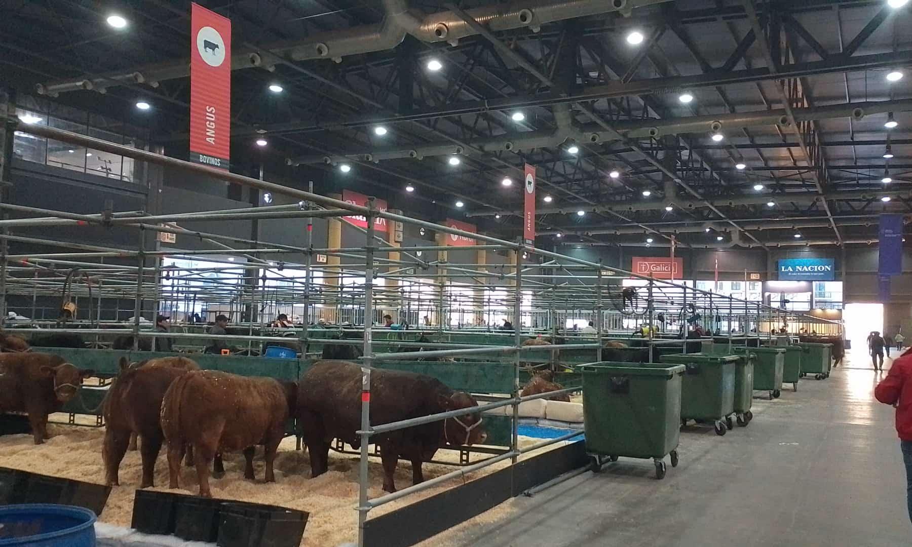 UTU está presente en la mayor exposición rural de Argentina