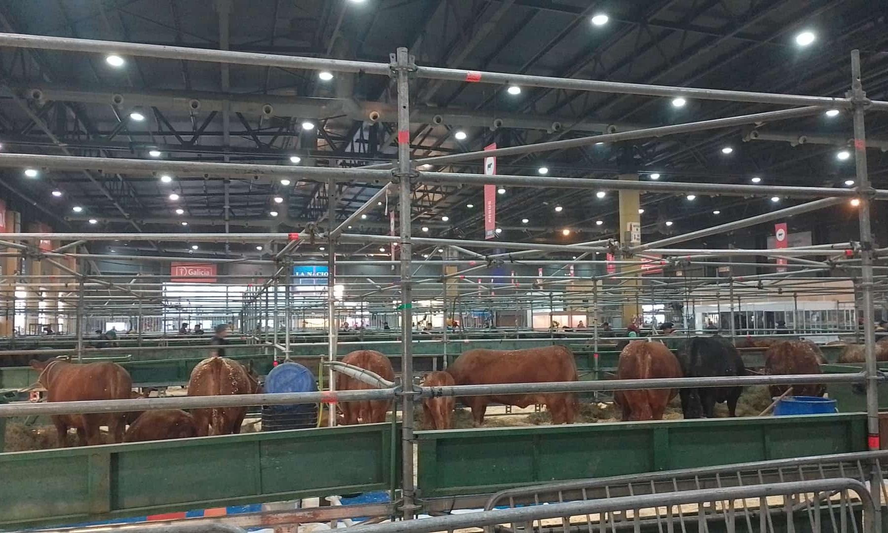 UTU está presente en la mayor exposición rural de Argentina