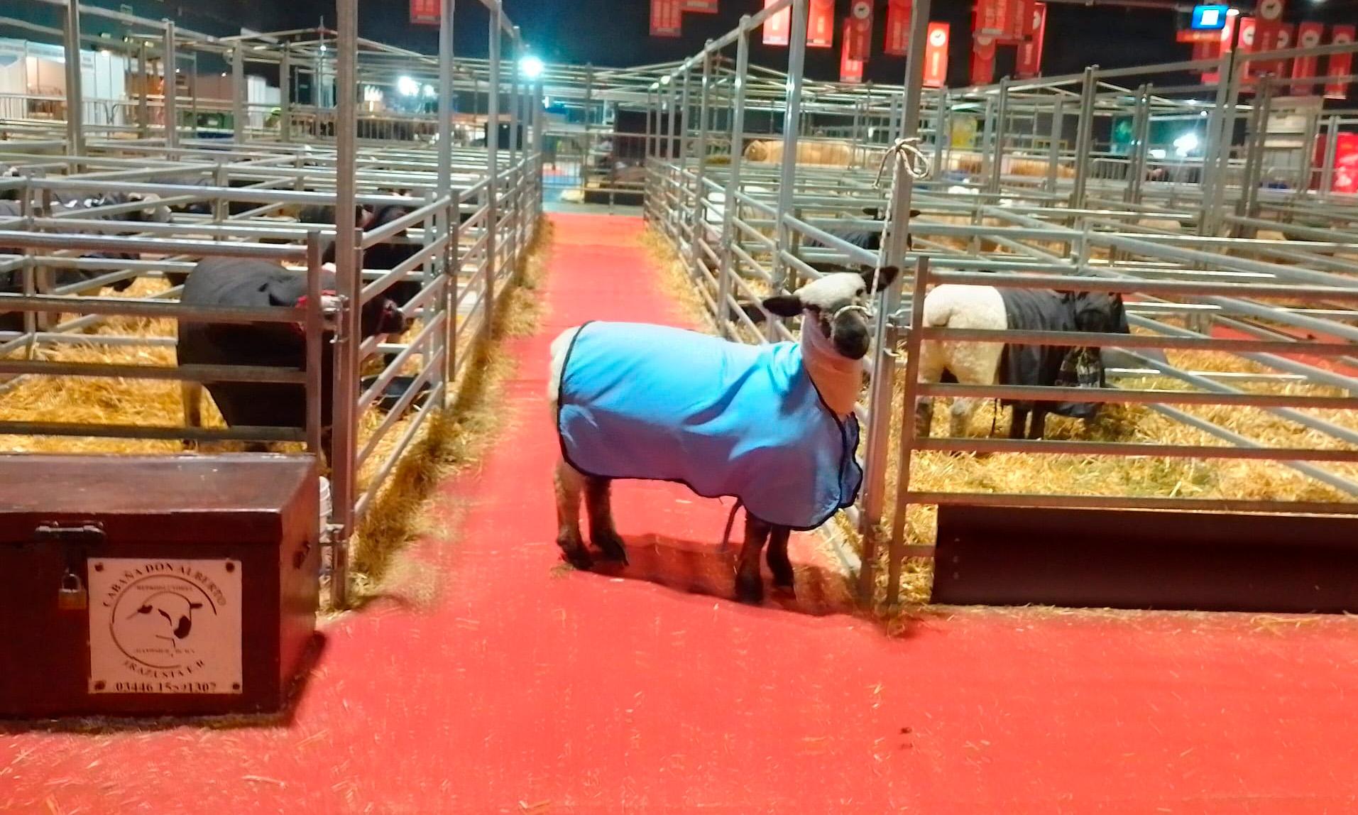 agraria serena