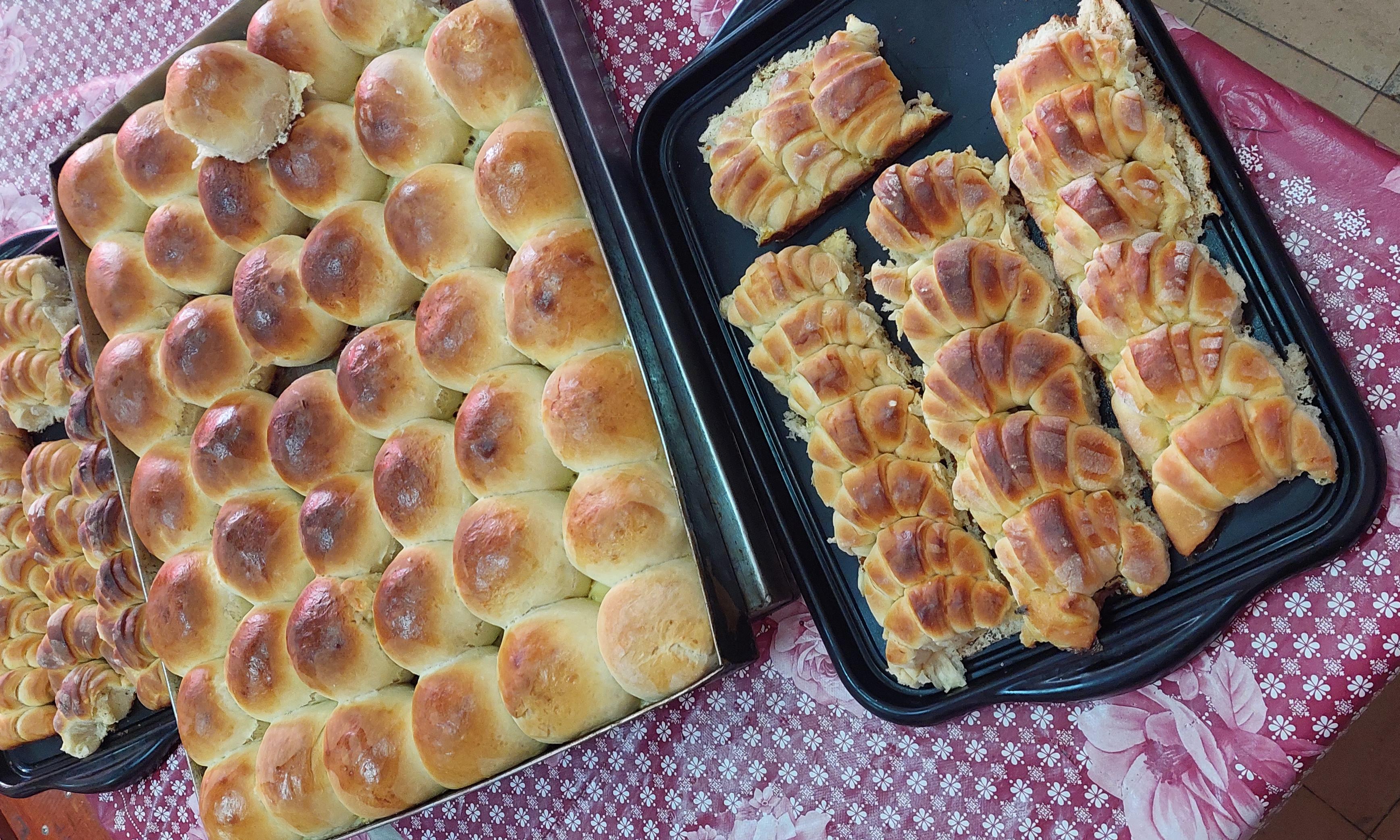  personal de campo y personal de cocina